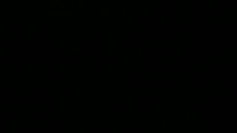 Snapshot of 0815____pet chatting on 12.01.24 Peter online show from 12.01.24