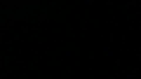 Snapshot of 0815____pet chatting on 12.27.24 Peter online show from 12.27.24