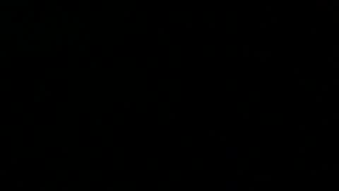 Snapshot of 0815____pet chatting on 02.23.25 Peter online show from 02.23.25