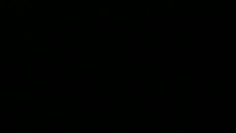 Snapshot of 0815____pet chatting on 09.16.25 Peter online show from 09.16.25