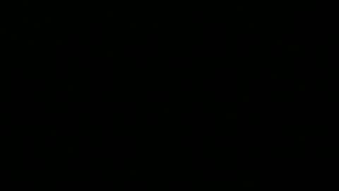 Snapshot of 0815____pet chatting on 12.16.25 Peter online show from 12.16.25