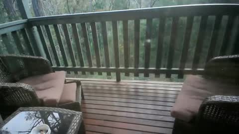 Snapshot of 101jama101 chatting on 11.14.25 Intenseduo online show from 11.14.25