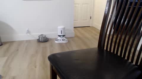 Snapshot of 1dad2plz chatting on 11.09.25 i erupt if you suck ur nipples 4 me and look at the camera while watching me online show from 11.09.25