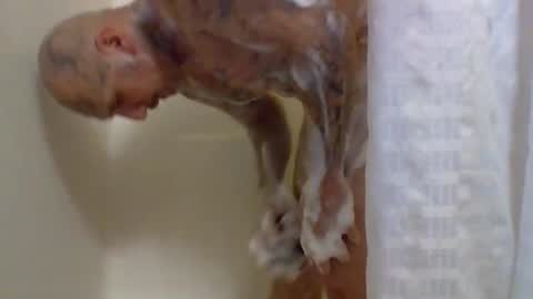 Snapshot of 1nastya8 chatting on 03.04.26 TheShyOne18 online show from 03.04.26