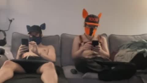 2pupsinheat online show from 07.11.26