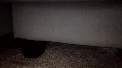 30nick online show from 02.02.26