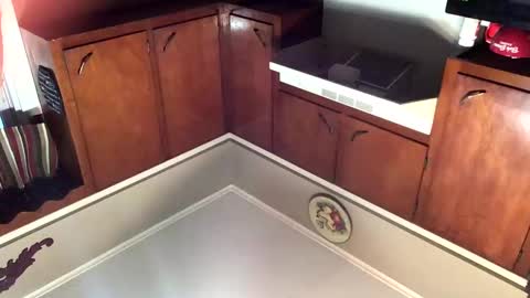 Snapshot of 33adidas chatting on 11.08.25 33adidas online show from 11.08.25