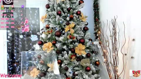 Snapshot of 3lla_rose chatting on 12.24.24 Ella online show from 12.24.24