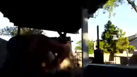 Snapshot of 420dick420707 chatting on 03.19.26 420dick420707 online show from 03.19.26