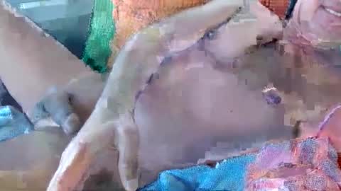 Snapshot of 56funleo chatting on 11.17.25 Daddy online show from 11.17.25