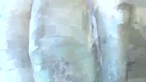 Snapshot of 56funleo chatting on 12.01.25 Daddy online show from 12.01.25