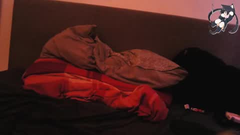 Shady online show from 12.29.24