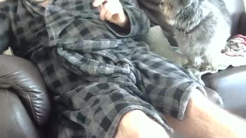 Snapshot of 66bear chatting on 12.25.24 66bear online show from 12.25.24