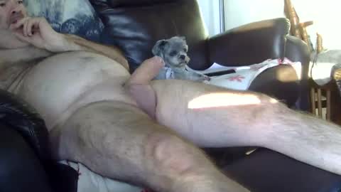 Snapshot of 66bear chatting on 10.05.25 66bear online show from 10.05.25