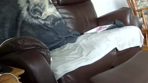 Snapshot of 66bear chatting on 12.14.25 66bear online show from 12.14.25