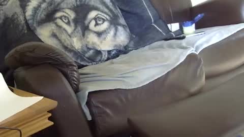 Snapshot of 66bear chatting on 03.09.26 66bear online show from 03.09.26