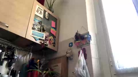 6990fiko online show from 03.04.25