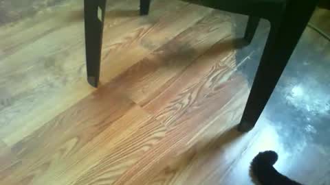 69forever453443 online show from 11.14.25