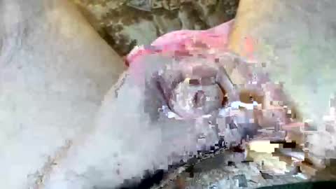 69rumbler online show from 11.06.25