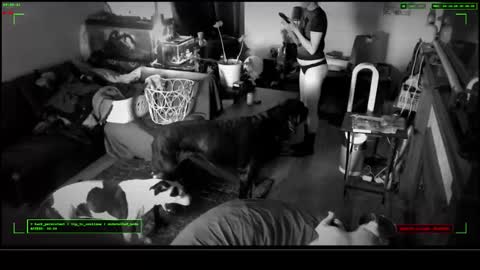 Snapshot of 6vyr_vlt9 chatting on 12.17.25 Voyeur Vault online show from 12.17.25