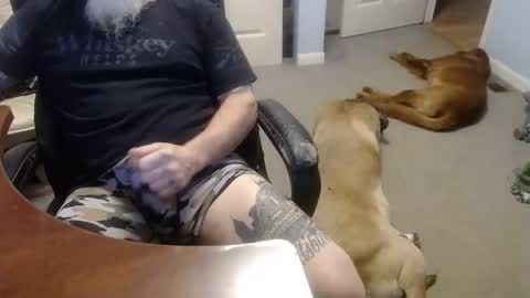 Snapshot of 70paborn chatting on 10.13.25 MASTIFF online show from 10.13.25