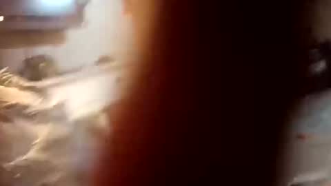 7lairddip online show from 10.06.25