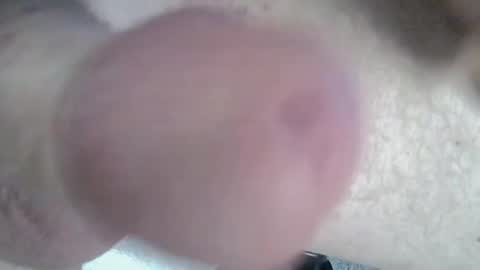 Snapshot of 81_harterschwanz chatting on 01.04.25 Maximilian Max online show from 01.04.25