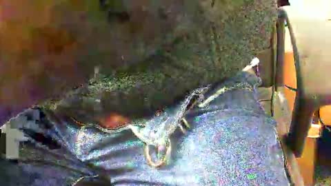 Snapshot of 99zeus9 chatting on 11.27.25 99zeus9 online show from 11.27.25