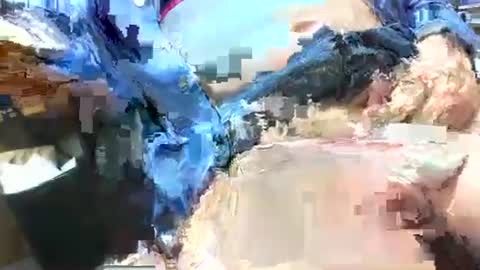99zeus9 online show from 04.26.26