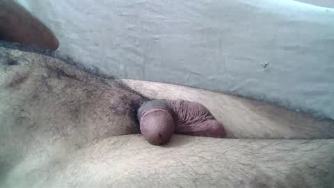 Massive hungry cock online show from 07.05.26