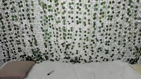 Snapshot of _52_ chatting on 02.13.25 EMILY AND MARCUS online show from 02.13.25