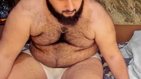 Snapshot of _alan_bear_ chatting on 02.19.25 Alan online show from 02.19.25