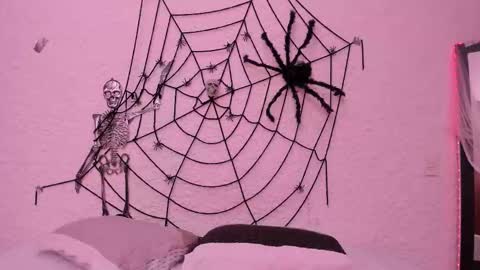 Snapshot of _alexandersawyer_ chatting on 10.22.25 Alexander online show from 10.22.25