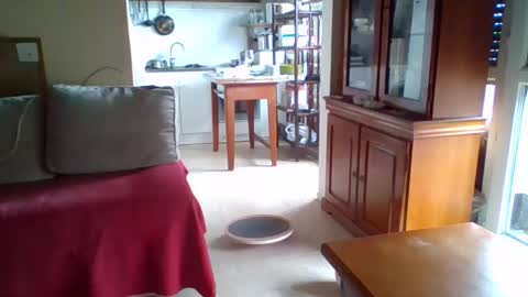 _bubble_buttfunxxx online show from 10.11.25