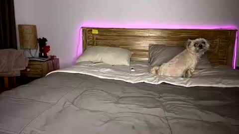 Snapshot of _elisavae chatting on 12.15.25 elisa online show from 12.15.25