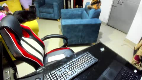 Emma online show from 02.07.25