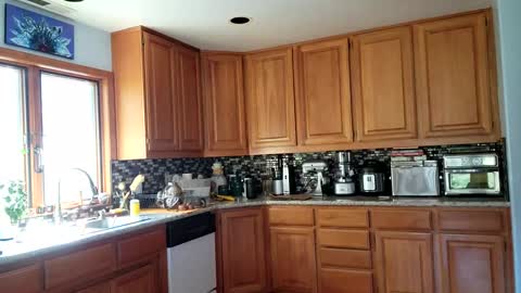 Snapshot of _frankie_rivers chatting on 03.06.25 Frankie Rivers allmylinks online show from 03.06.25