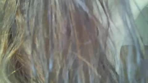 Snapshot of _kapelka_ chatting on 02.04.25 KAPELKA online show from 02.04.25