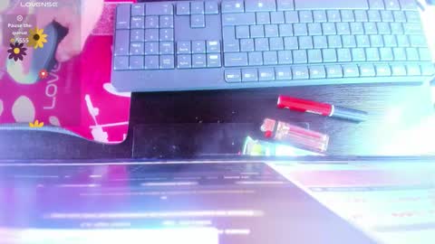 paulina  online show from 11.15.25