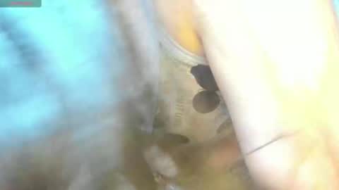 Snapshot of _litle_mily_ chatting on 02.15.25 Mily online show from 02.15.25