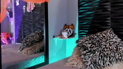 _lustyles_ online show from 10.31.25