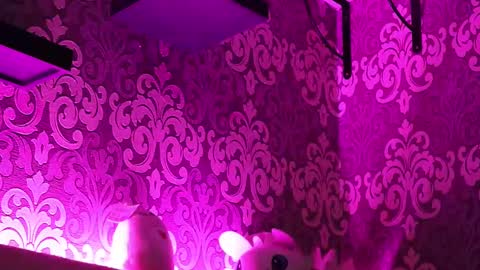 Stream  at  am in MoscowI am waiting for you very much3 online show from 02.23.25