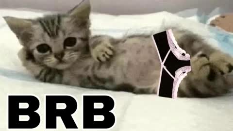 miko3 online show from 12.03.25