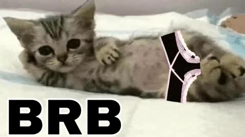 Snapshot of _meowmiko__ chatting on 03.12.26 miko3 online show from 03.12.26