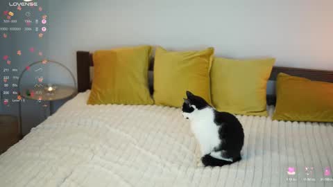 _million_dollarsmile online show from 12.01.25