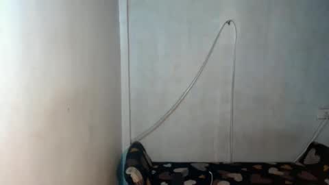 Snapshot of _shanexx chatting on 12.15.25 _shanexx online show from 12.15.25