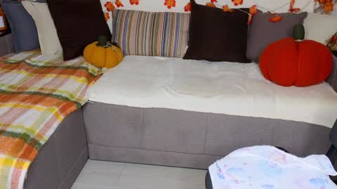 Alice online show from 12.09.24