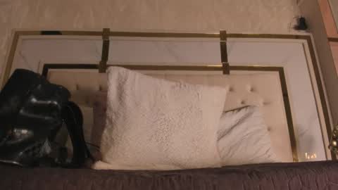 Snapshot of _tinyrousse_ chatting on 11.20.25 Rousse online show from 11.20.25