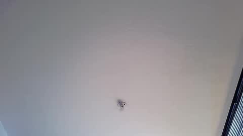 Snapshot of abbi_moon chatting on 01.12.25 Martina online show from 01.12.25