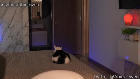 abie_owen online show from 09.28.25